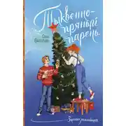 Постер книги Тыквенно-пряный парень