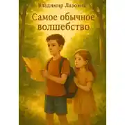 Постер книги Самое обычное волшебство