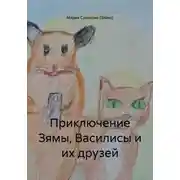 Постер книги Приключение Зямы, Василисы и их друзей