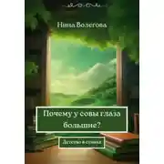 Постер книги Почему у совы глаза большие?
