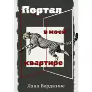 Постер книги Портал в моей квартире
