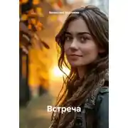 Постер книги Встреча
