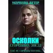 Постер книги Ещё не сорваны погоны...