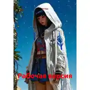 Постер книги Рабочая версия