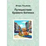 Постер книги Путешествие бравого ботинка
