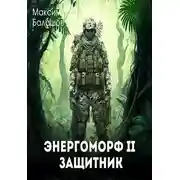 Постер книги Защитник