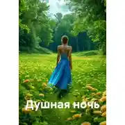 Постер книги Душная ночь