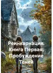 Илья Борисов - Реинкарнация. Книга Первая: Пробуждение Теней