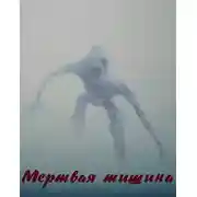 Постер книги Мертвая тишина