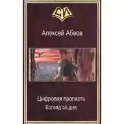 Постер книги Цифровая пропасть. Взгляд со дна