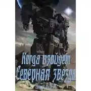 Постер книги Когда взойдет Северная звезда