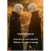 Постер книги Практика не для слабаков. Тайное становится явным