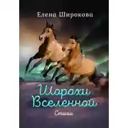 Постер книги Шорохи Вселенной