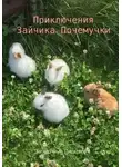 Загадочный Писатель - Приключения Зайчика-Почемучки