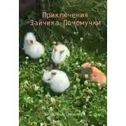 Постер книги Приключения Зайчика-Почемучки