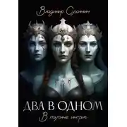 Постер книги Два в одном. В паутине интриг