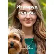 Постер книги Изумруд судьбы