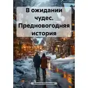 Постер книги В ожидании чудес. Предновогодняя история