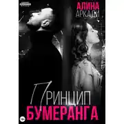 Постер книги Принцип бумеранга