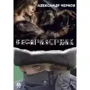 Постер книги Беспризорник
