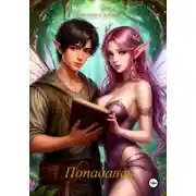 Постер книги Попаданец