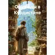Постер книги Однажды в Курдистане