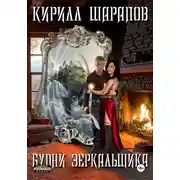 Постер книги Будни зеркальщика