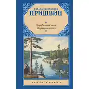 Постер книги Корабельная чаща. Осударева дорога