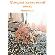 Постер книги История жизни одной кошки