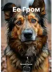 Евгений Ершов - Ее Гром