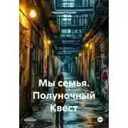 Постер книги Мы семья. Полуночный Квест