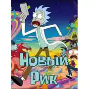 Постер книги Новый Рик