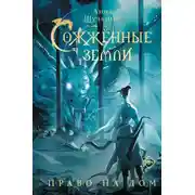 Постер книги Сожженные земли. Право на дом