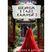 Постер книги Босиком в саду камней 3