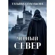 Постер книги Черный север