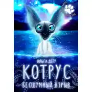 Постер книги Котрус. Бесшумный взрыв