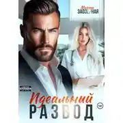 Постер книги Идеальный развод