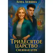 Постер книги Тридесятое царство. Снежная буря