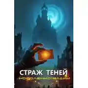 Постер книги Страж теней