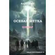 Постер книги Осевая метка. Шехар