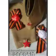 Постер книги Ветеран