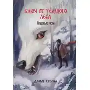 Постер книги Ключ от Тёмного Леса. Незваные гости