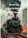 Владимир Горожанкин - Воины стального заслона