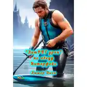 Постер книги «ЛитРПГ урон» по обеду. Интерфейс