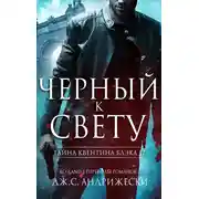 Постер книги Черный к свету