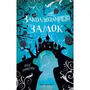 Постер книги Заколдованный замок