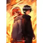 Постер книги Записки неразделённой любви