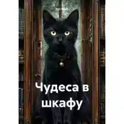 Постер книги Чудеса в шкафу