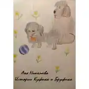 Постер книги Истории Куфика и Бруфика