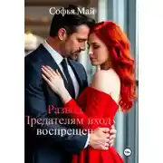 Постер книги Развод. Предателям вход воспрещен